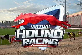 KM Virtual Greyhound Racing